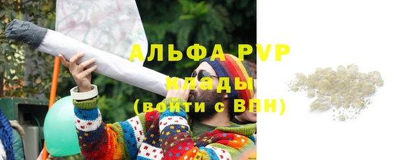 PSILOCYBIN Каменск-Шахтинский