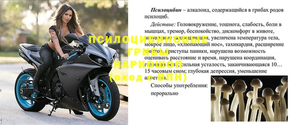 а пвп мука Каменногорск