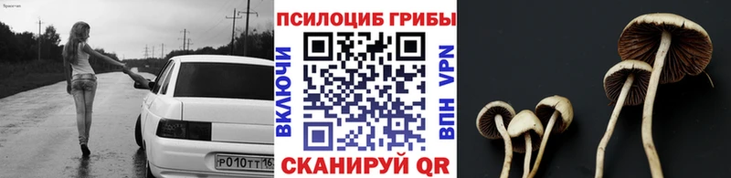 Галлюциногенные грибы мухоморы  Купить  Чухлома 