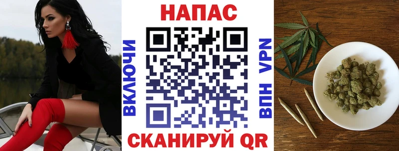 Купить  Чухлома  Канабис индика 